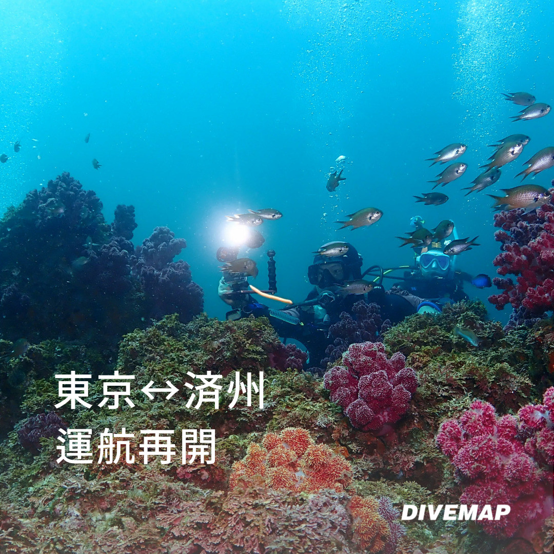 2024年7月 東京↔済州 大韓航空直行便運航再開案内