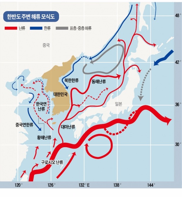 한국 다이버가 반드시 알아야 할 쿠로시오 난류 (feat. 청물이 들어오다)