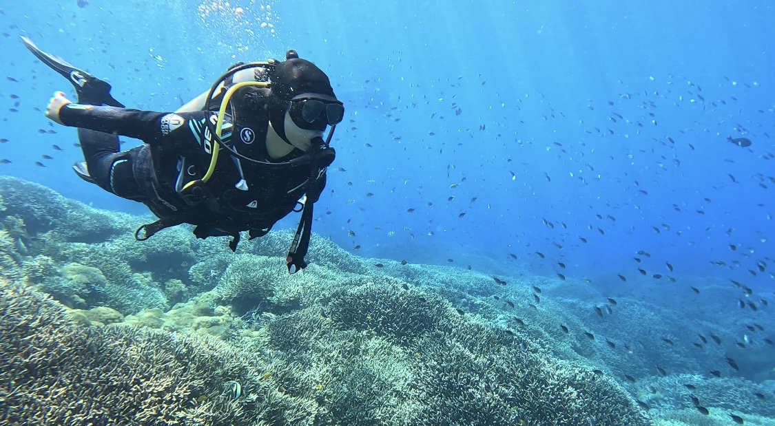 누사페니다-크리스탈베이