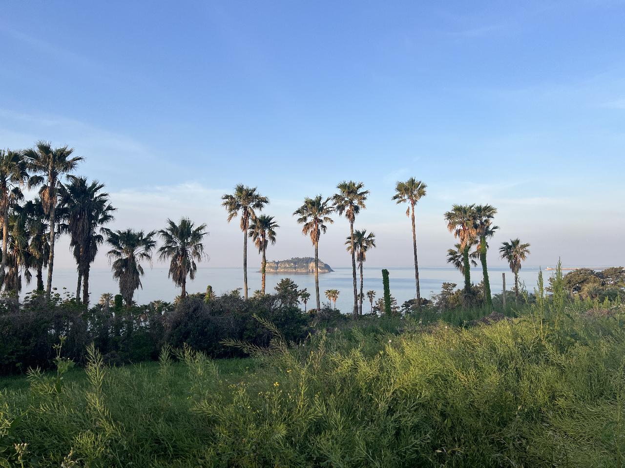 Waking up to a bright, sunny day makes me feel refreshed and cleansed.  The expansion and relocation of our dive center is mostly complete, and now we