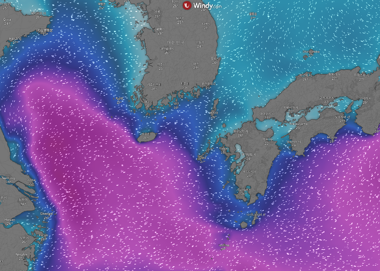 台風明け、やっと潜れる済州の夏の海！
