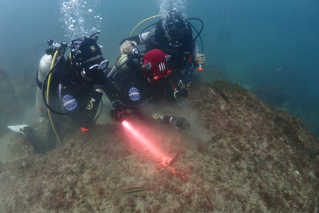 Try Diving at Dongmo Point, Seopseom with Guests from Nagoya
