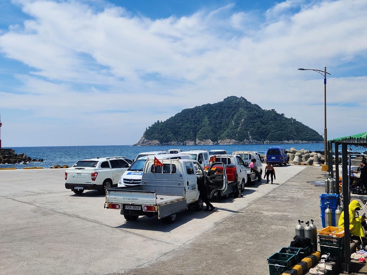 After the Typhoon, Back in the Water — What a Joy !