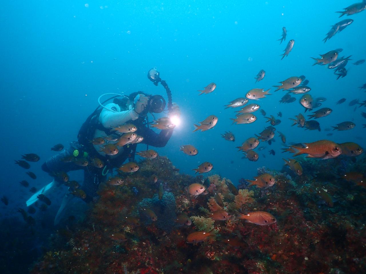 Jejigi Dive Point - Jeju Island