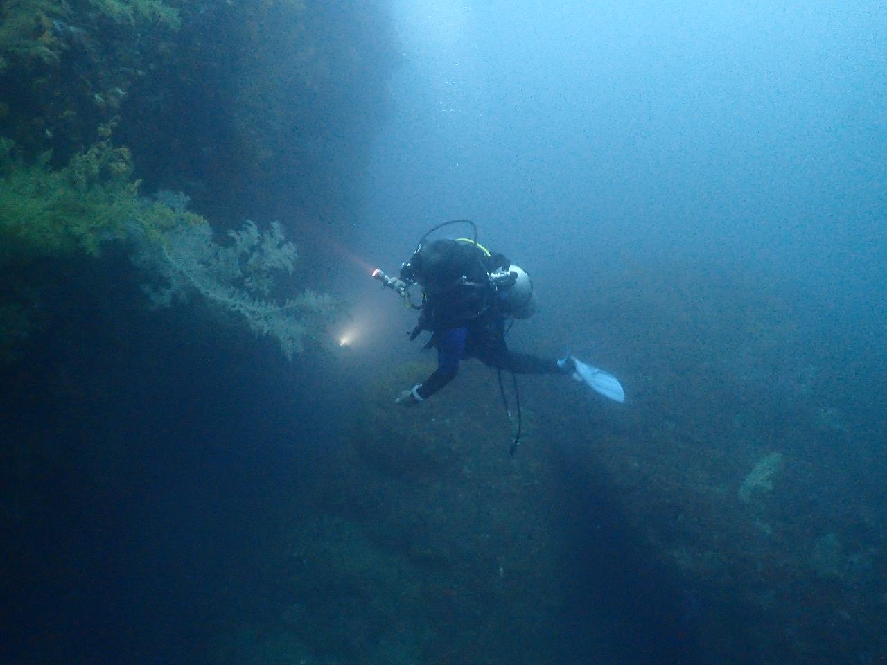 Jejigi Dive Point - Jeju Island