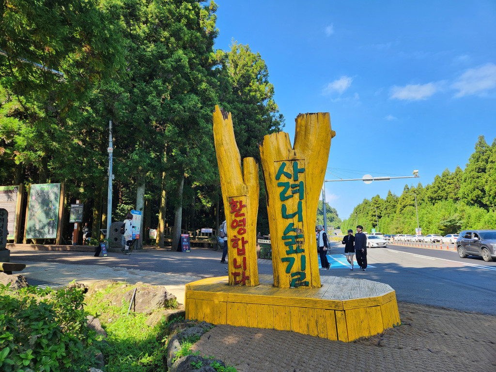 済州でダイビングとヒーリングトレッキングを一度に！サリョニ林道 (사려니숲길)