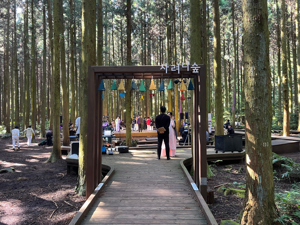 Dive & Heal in One Trip — Saryeoni Forest Trail in Jeju (사려니숲)