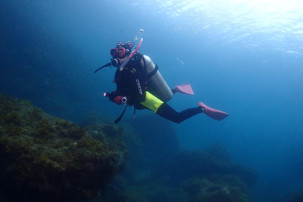 Scuba diving in Jeju — at Divemap