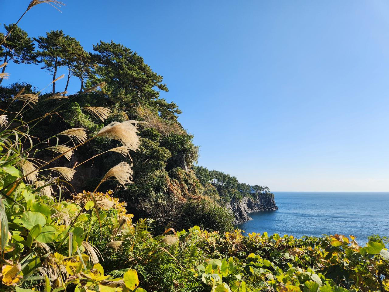 Seogwipo Oedolgae Olle Trail Course 7 (Post-Dive Walking Route)