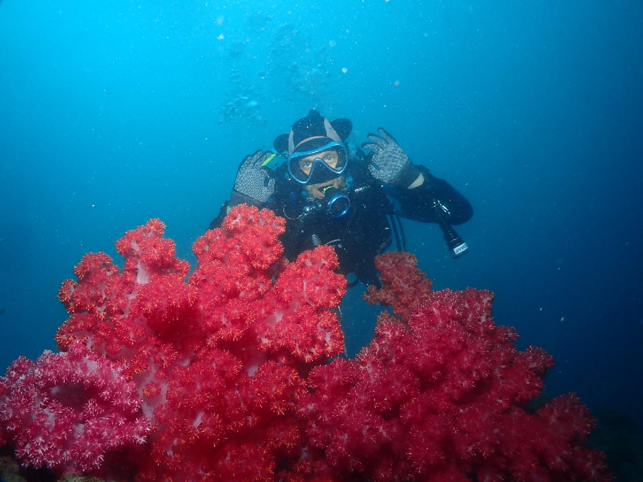 German Sibling Divers Choose Seogwipo Fun Diving for Their Cruise Shore Excursion