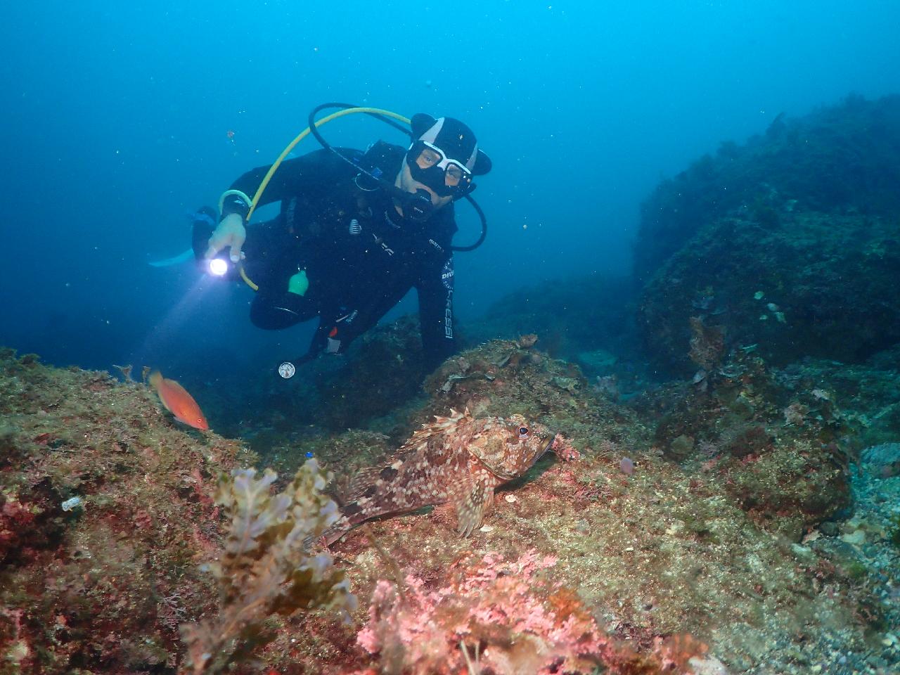 Diving with DIVMAP was one of the highlights of my trip to Jeju.