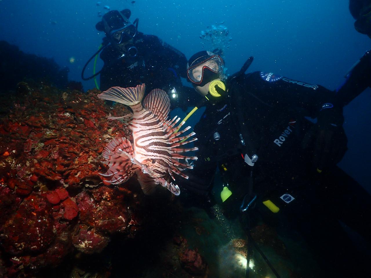 Recommend to anyone wanting to try scuba diving in Jeju
