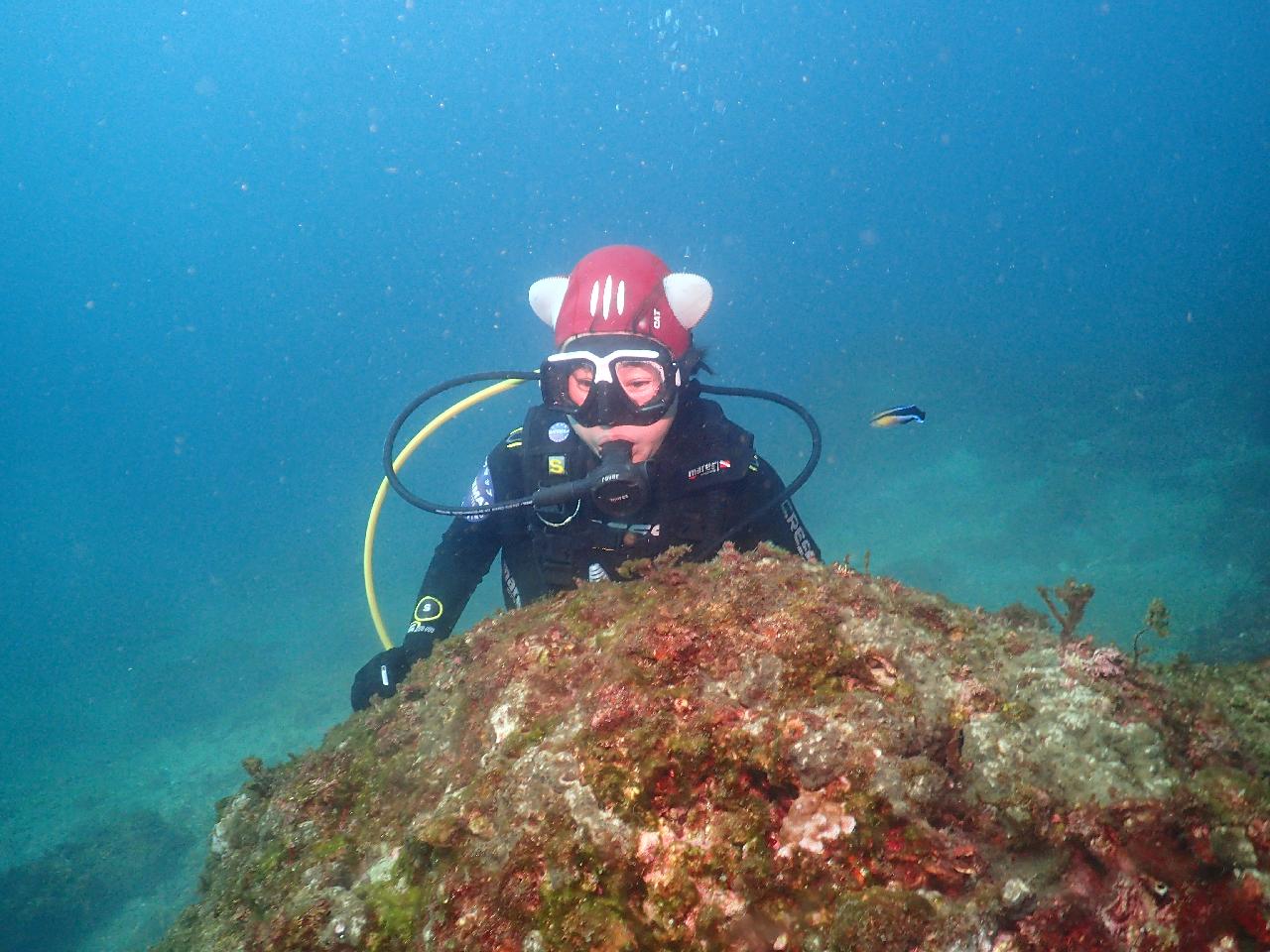 I had a really good experience learning to dive with DIVEMAP.