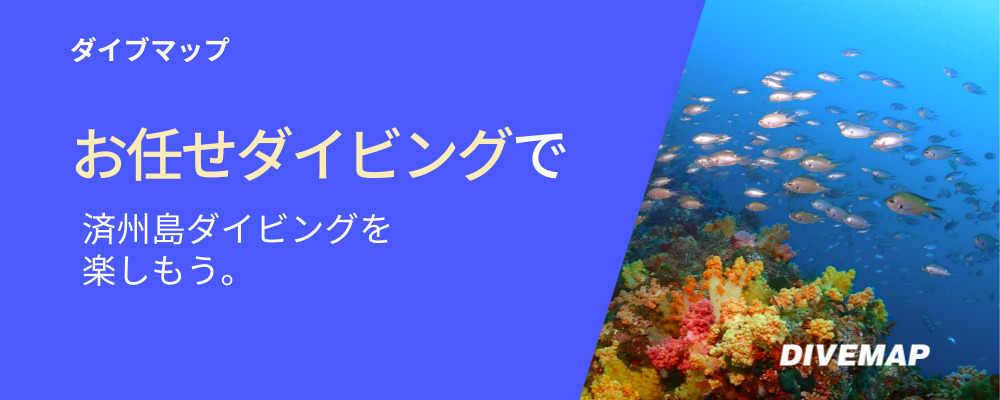▣　ダイブマップ(DIVEMAP)の特別なサービス　▣