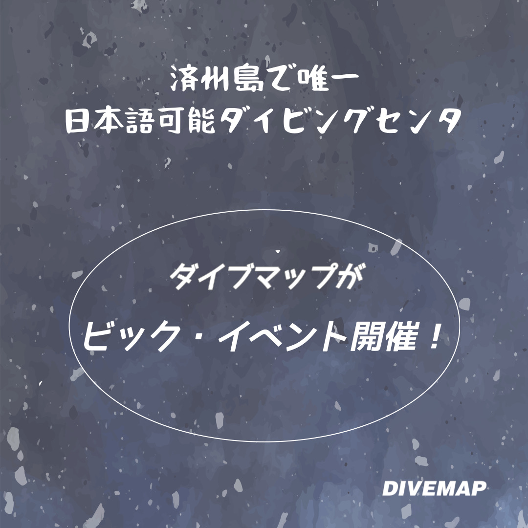 済州島(チェジュ島)スキューバダイビング ワーケーション イベント