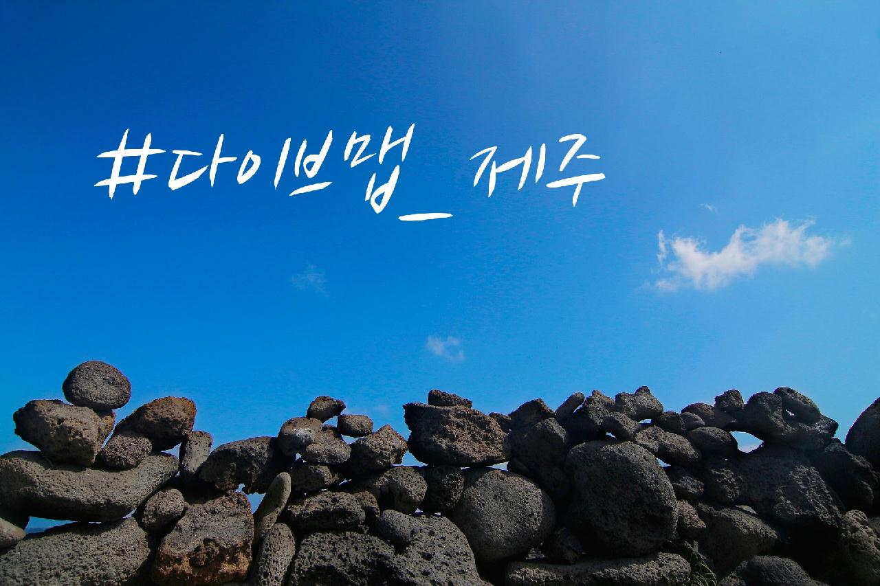 [제주도] 서귀포 펀다이빙