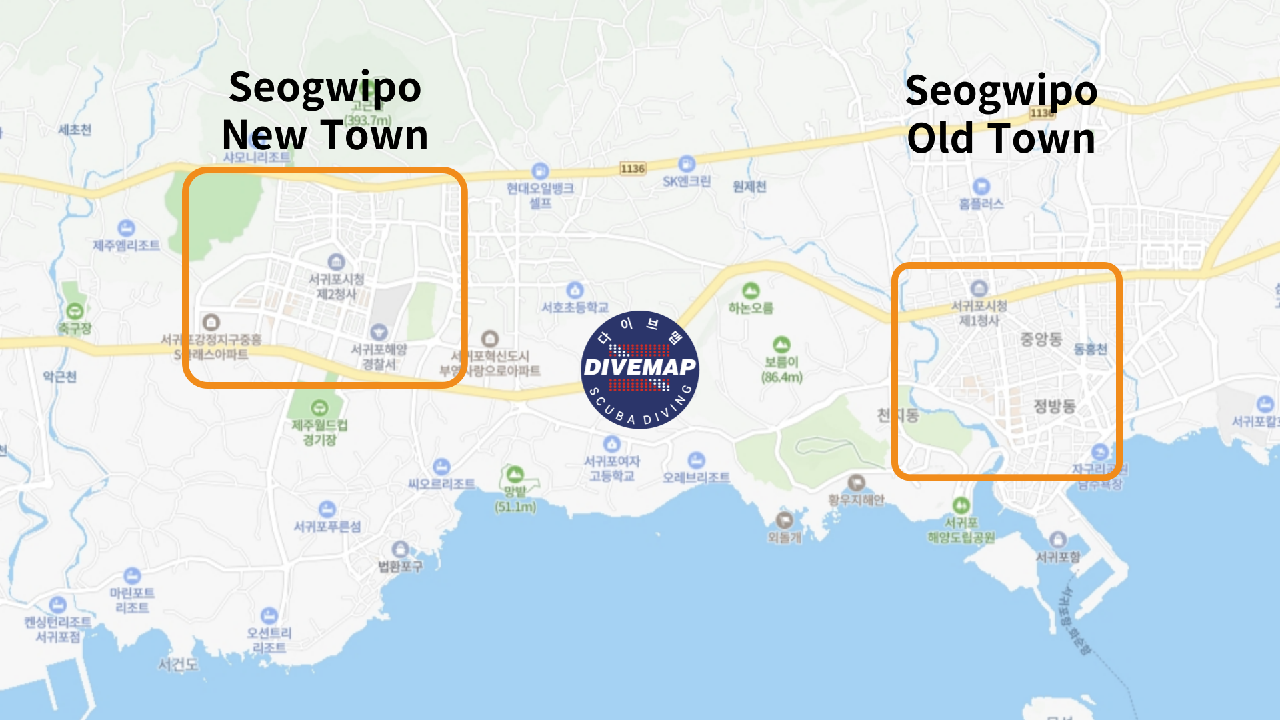 Jeju Scuba Diving Review