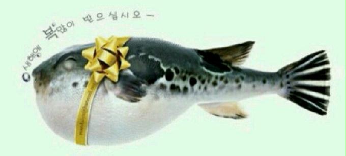 새해 복 많이받으세요...^^