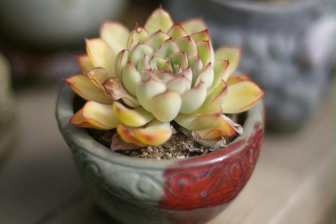 [2013  - 두번째 나들이]2013.02.11 