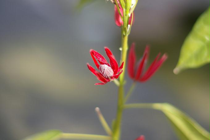 [2013  - 두번째 나들이]2013.02.11 