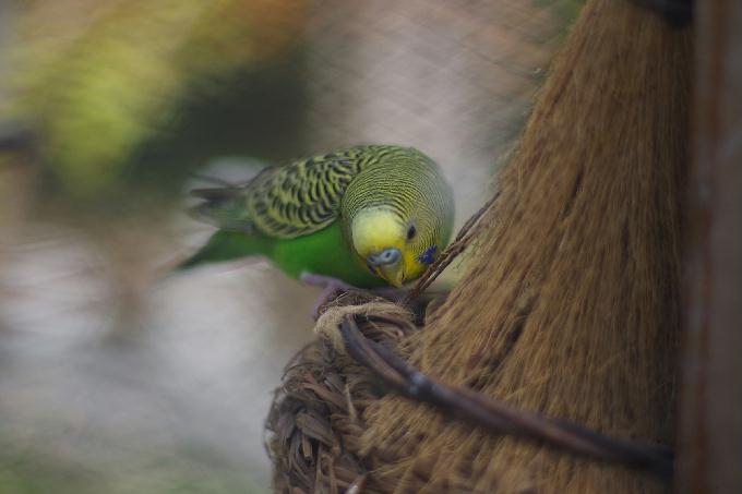 [2013  - 두번째 나들이]2013.02.11 