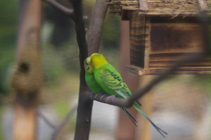 [2013  - 두번째 나들이]2013.02.11 