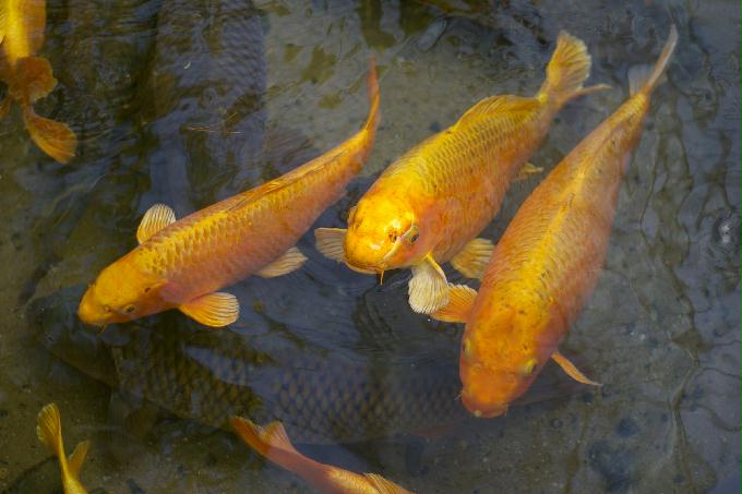 [2013  - 두번째 나들이]2013.02.11 