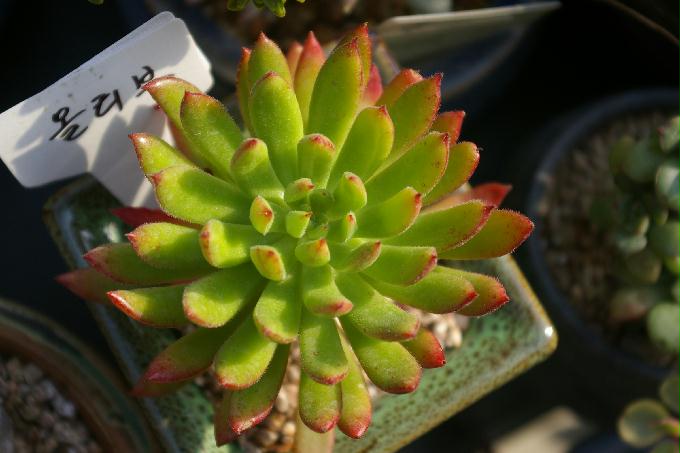 [2013  - 두번째 나들이]2013.02.11 