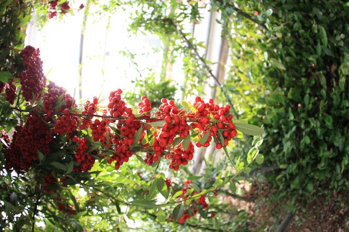 [2013  - 세번째 나들이]2013.02.24 