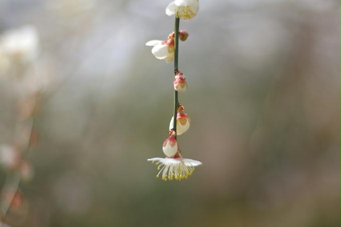 [2013  - 세번째 나들이]2013.02.24 