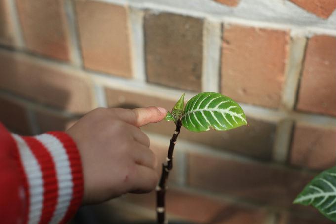 [2013  - 세번째 나들이]2013.02.24 