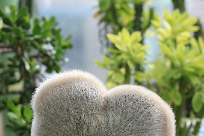 [2013  - 세번째 나들이]2013.02.24 