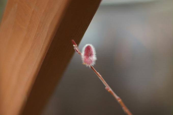 [2013  - 세번째 나들이]2013.02.24 