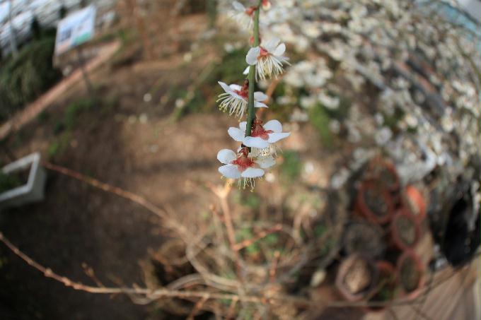 [2013  - 세번째 나들이]2013.02.24 