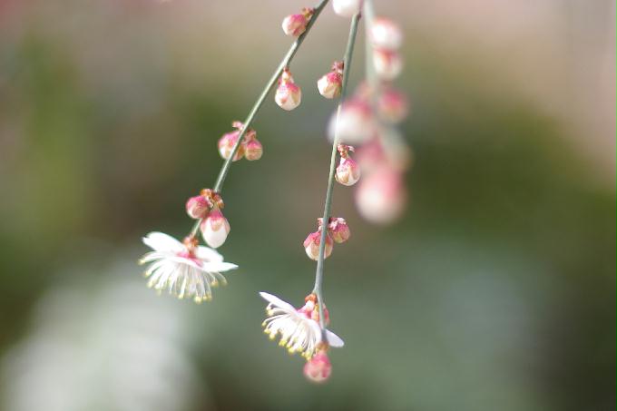 [2013  - 세번째 나들이]2013.02.24 