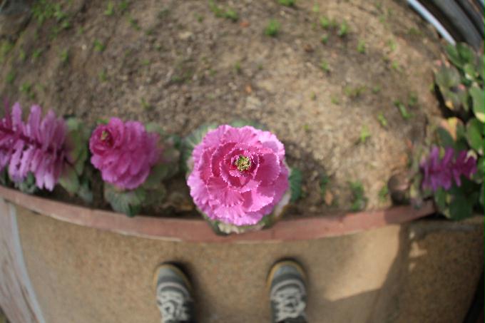 [2013  - 세번째 나들이]2013.02.24 