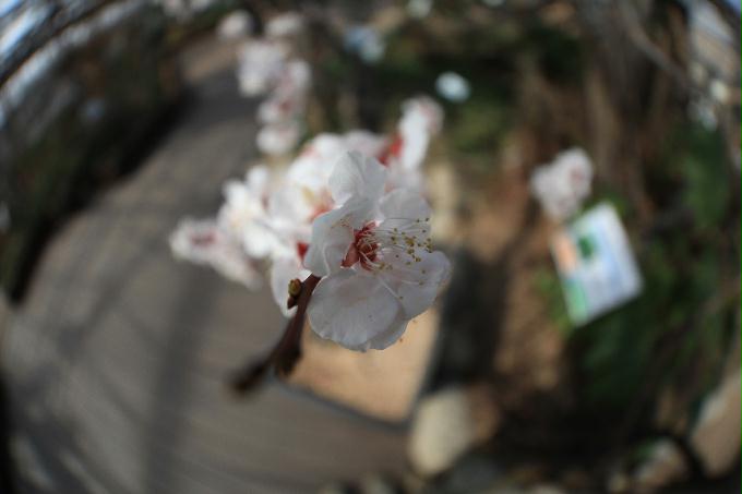 [2013  - 세번째 나들이]2013.02.24 