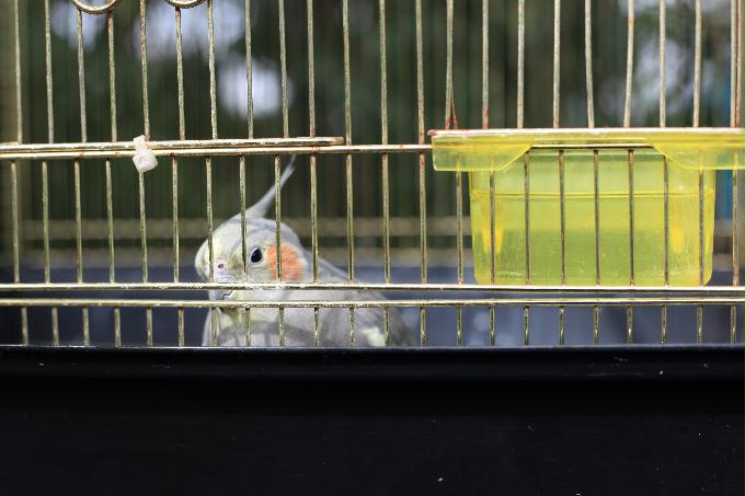 [2013  - 세번째 나들이]2013.02.24 