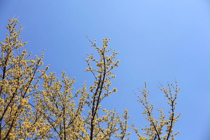 [2013 - 다섯번째 나들이]2013.03.26 