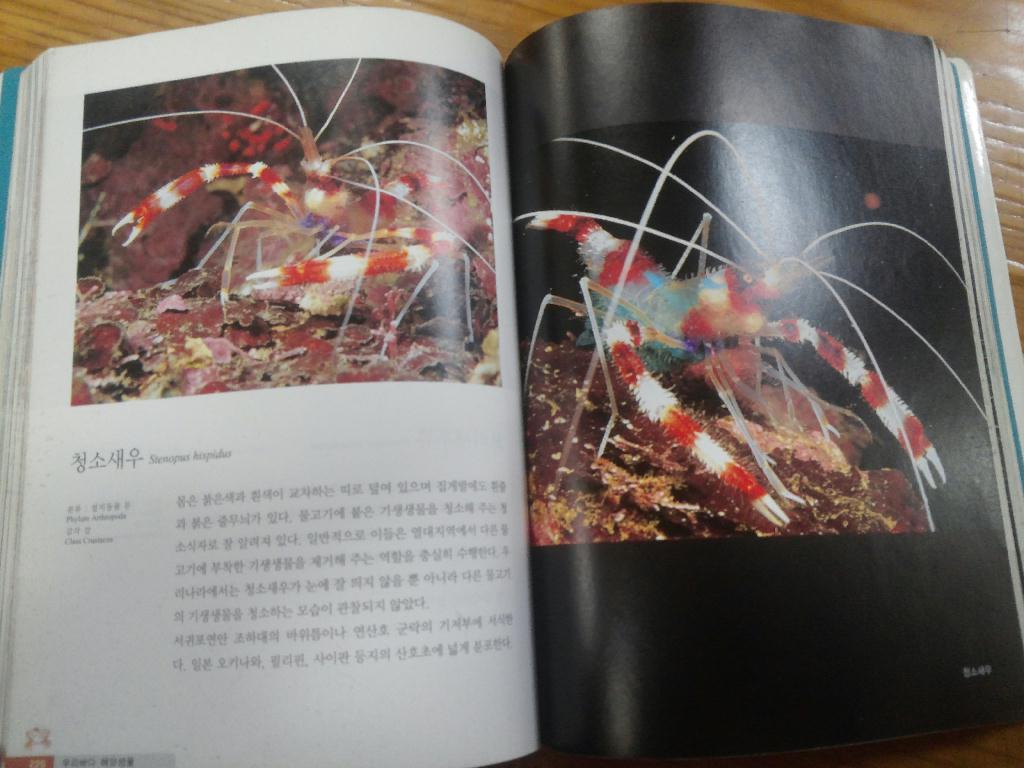 다들 어류도감 어떤것을 보시나요??대형 서점에 