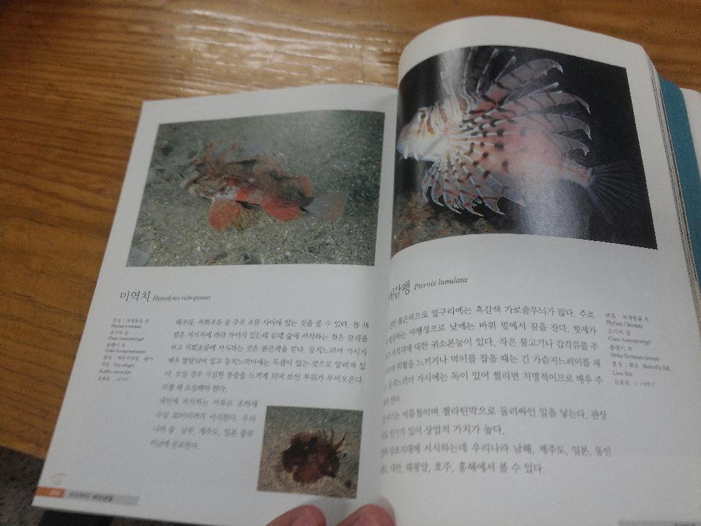 다들 어류도감 어떤것을 보시나요??대형 서점에 