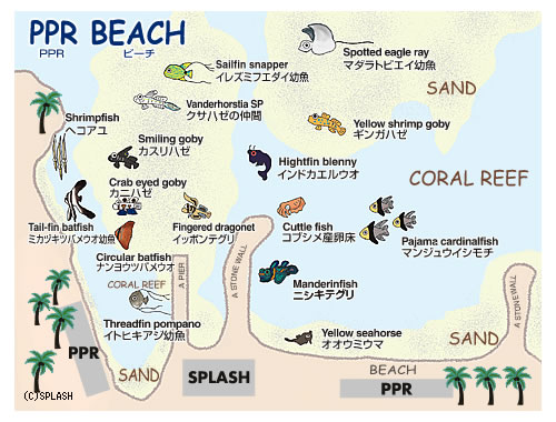 다이빙 투어 준비 일지.여행 희망 일자 : 2014