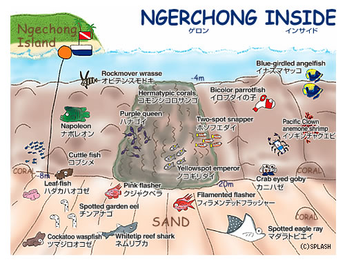 다이빙 투어 준비 일지.여행 희망 일자 : 2014