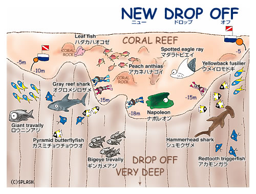 다이빙 투어 준비 일지.여행 희망 일자 : 2014
