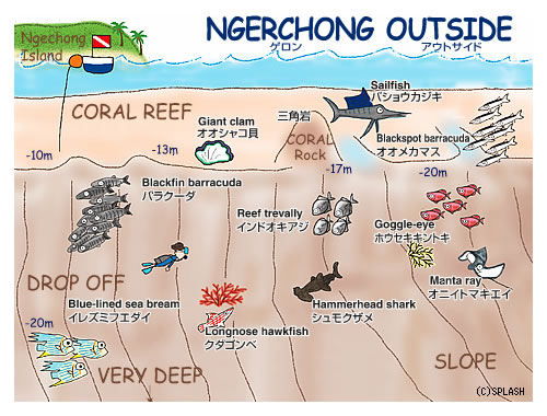 다이빙 투어 준비 일지.여행 희망 일자 : 2014