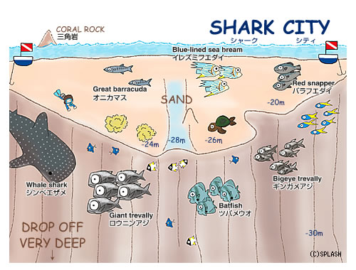 다이빙 투어 준비 일지.여행 희망 일자 : 2014
