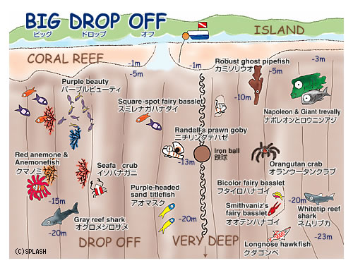 다이빙 투어 준비 일지.여행 희망 일자 : 2014