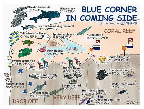 다이빙 투어 준비 일지.여행 희망 일자 : 2014