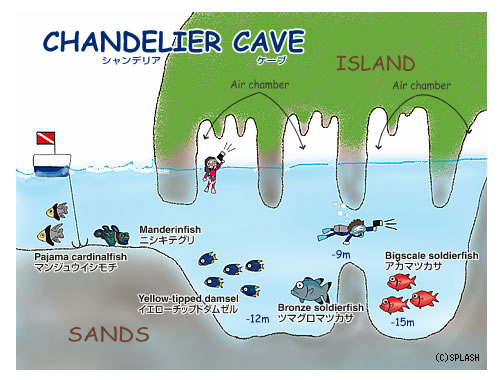 다이빙 투어 준비 일지.여행 희망 일자 : 2014