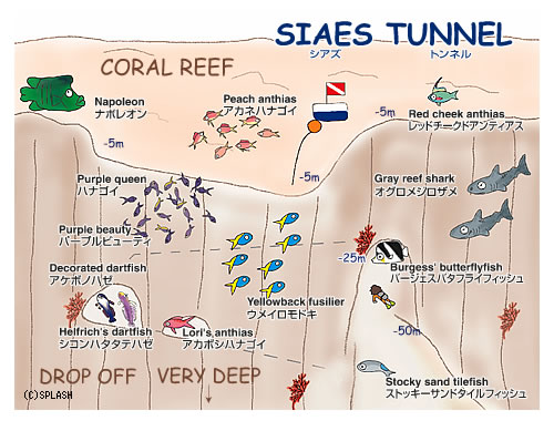 다이빙 투어 준비 일지.여행 희망 일자 : 2014